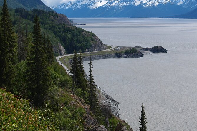 Half Day Tour Turnagain Arm - Alaska Wildlife Conservation Center - Accessibility and Participation