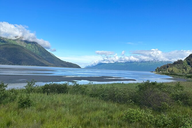 Half Day Tour Turnagain Arm - Alaska Wildlife Conservation Center - Turnagain Arm Exploration