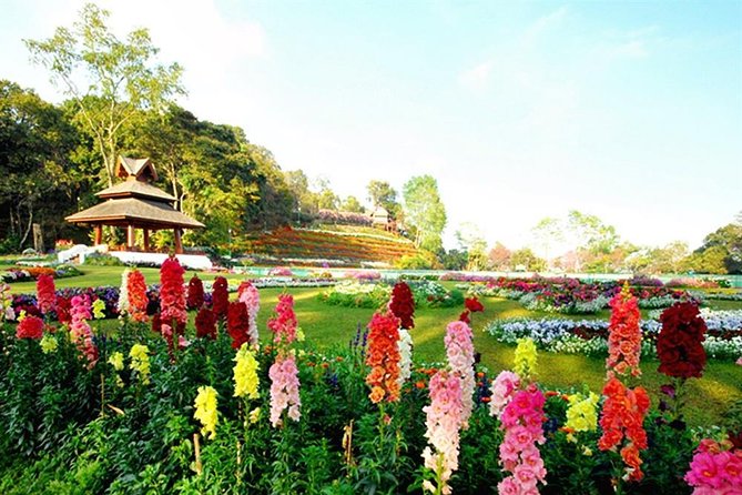 Half Day Tour : Wat Doi Suthep & Phu Ping Palace From Chiang Mai - Cancellation and Refund Policy