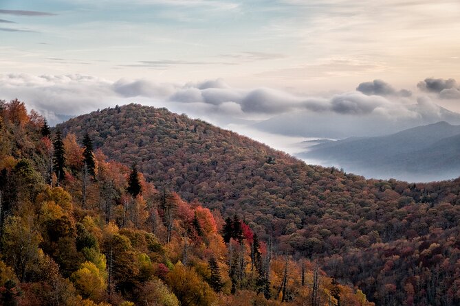 Half-Day Tour With Instruction in Autumn Color Photography - Key Points