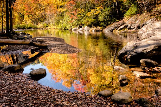 Half-Day Tour With Instruction in Autumn Color Photography - Prepare for the Tour