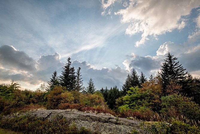 Half-Day Tour With Instruction in Vistas & Waterfall Photography - Meeting Information