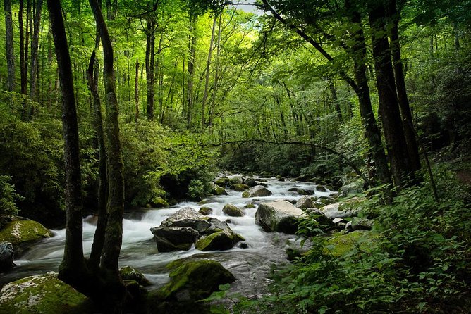 Half-Day Tour With Instruction in Vistas & Waterfall Photography - Guided Tour and Boat Ride