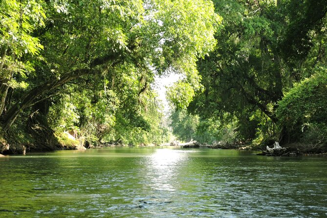 Half-Day Tour With Safari Float and Chocolate Experience - Accessibility and Additional Information