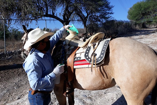 Half Day Trail Riding in San Miguel De Allende - Horseback Riding Adventure