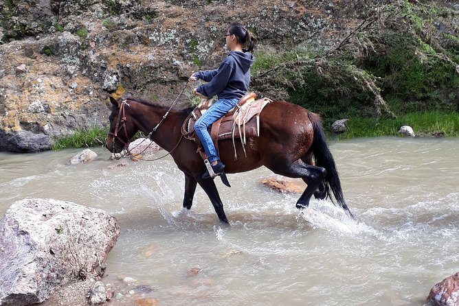 Half Day Trail Riding in San Miguel De Allende - Professional Guide and Cowboys