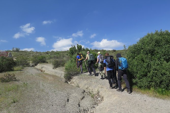 Half Day Trek To Volcan Misti - Safety and Health