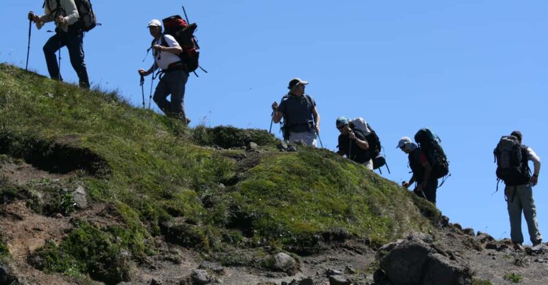 Half-Day Trekking at Llao Llao Hill - Key Points