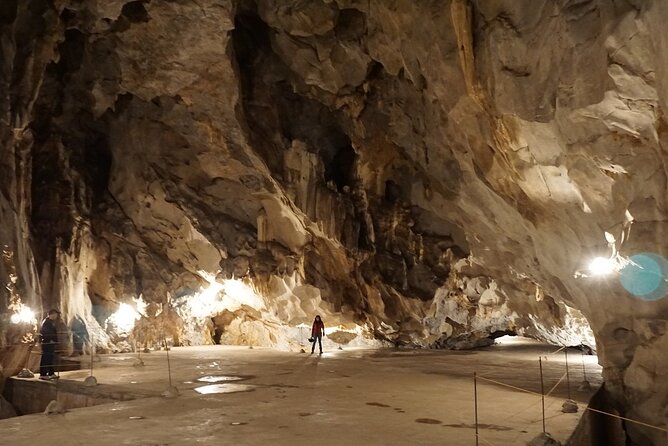 Half Day Trekking Cat Ba National Park - Trekking Highlights