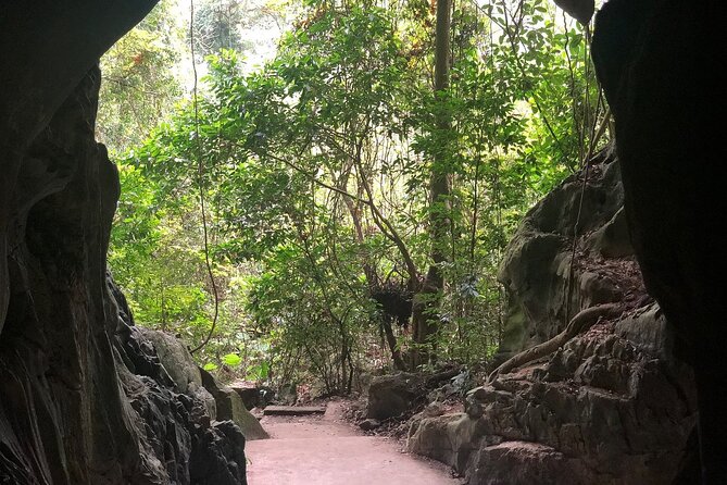 Half Day Trekking Cat Ba National Park - Exploring Cat Ba National Park