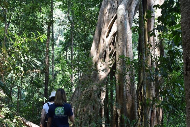 Half Day Trekking Doi Suthep - Pui National Park Area (Private Tour) - Pickup and Drop-off