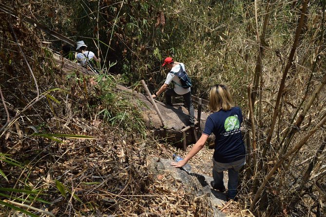 Half Day Trekking Doi Suthep - Pui National Park Area (Private Tour) - Exploring Doi Suthep-Pui National Park