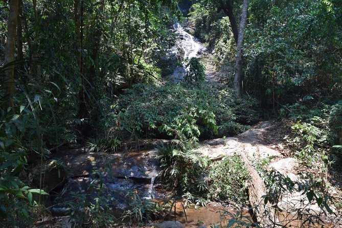 Half Day Trekking Doi Suthep - Pui National Park Area (Private Tour) - Trekking Experience Highlights