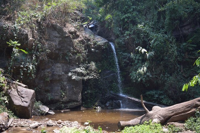 Half Day Trekking Doi Suthep - Pui National Park Area (Private Tour) - Fitness Level Required