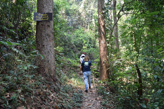 Half Day Trekking Doi Suthep - Pui National Park Area (Private Tour) - Cancellation and Pricing