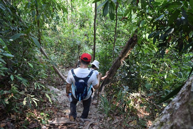 Half Day Trekking Doi Suthep - Pui National Park Area (Private Tour) - Additional Information