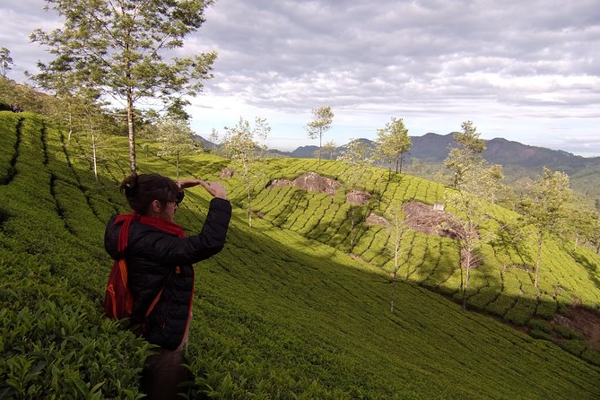 Half Day Trekking (Munnar Valley Trekking & Tours ) - Tour Highlights