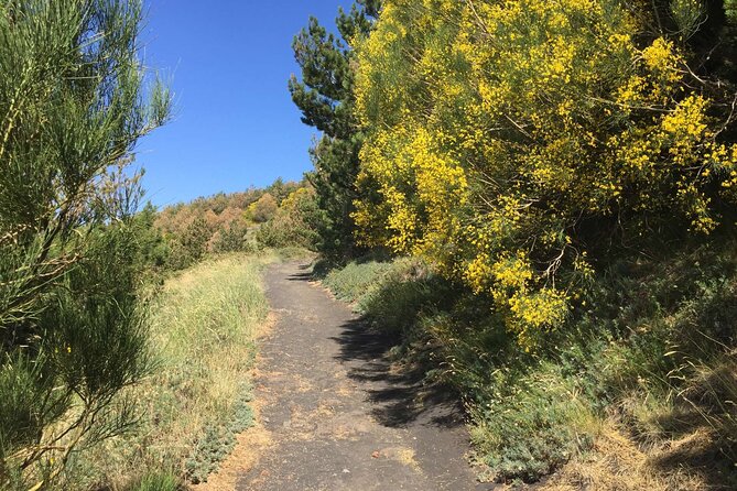 Half Day Trekking Tour on Etna - Physical Fitness Requirements
