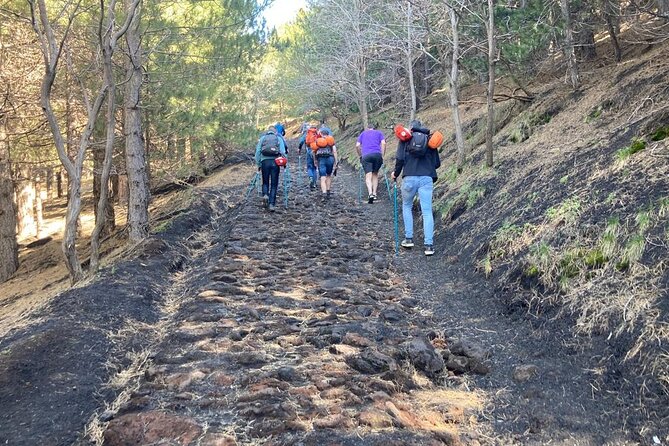 Half Day Trekking Tour on Etna - Additional Information