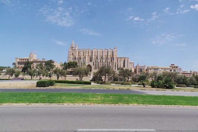 Half Day Trike Tour From Paguera - Accessibility and Cancellation Policy