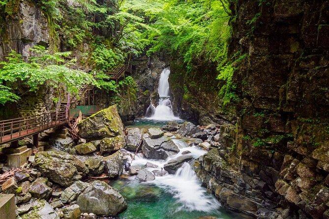 [Input TEXT TRANSLATED INTO English]:Half Day Trip in Hida-Osaka Waterfall - Participant Requirements