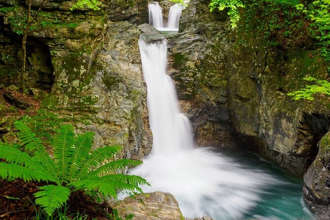 [Input TEXT TRANSLATED INTO English]:Half Day Trip in Hida-Osaka Waterfall - Pricing and Payment Options