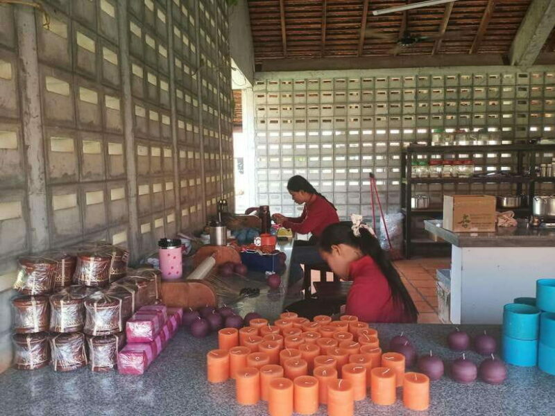 Half Day Trip: Silk Farm, Satcha, and Senteur d'Angkor Tour - An In-Depth Look at the Experience