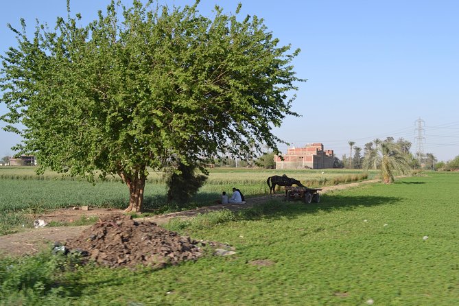 Half-Day Trip to Egyptian Green Farm From Cairo With Breakfast - Guided by an Egyptologist