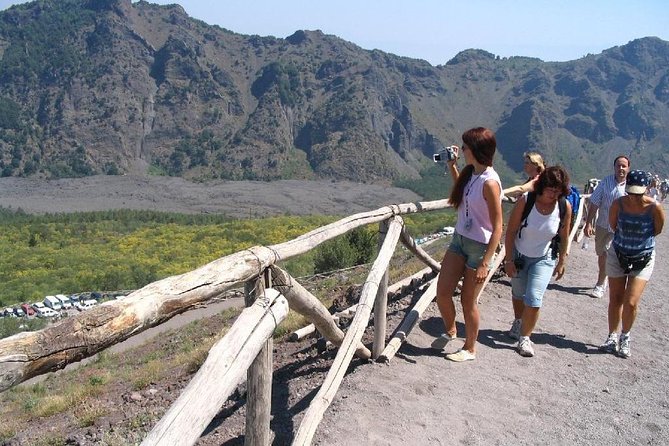 Half-Day Trip to Mt. Vesuvius From Naples - Meeting and Pickup