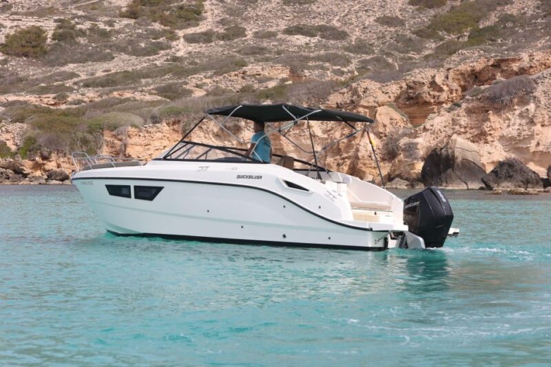 Half-Day Trip to Palma Bay - Key Points