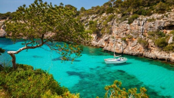Half-Day Trip to Palma Bay - Boat Specifications