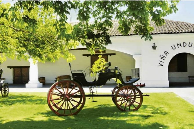Half Day Trip to Undurraga Vineyard From Santiago - Wine Tasting Included - Getting to Undurraga Vineyard