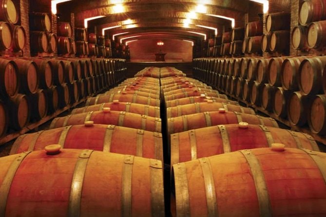 Half Day Trip to Undurraga Vineyard From Santiago - Wine Tasting Included - Practical Tour Details