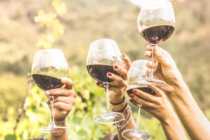Half Day Trip to Undurraga Vineyard From Santiago - Wine Tasting Included - Traveler Feedback and Ratings