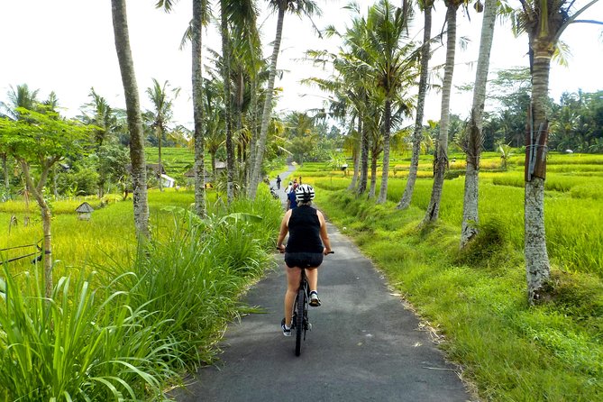 Half-Day Ubud Electric Cycling Tour to Tirta Empul Water Temple - Highlights of the Tour