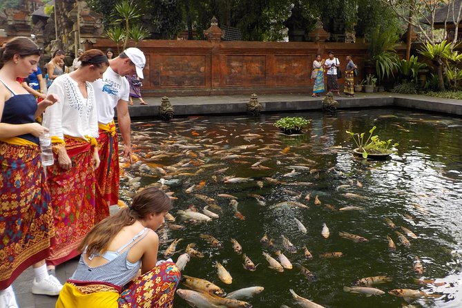 Half-Day Ubud Electric Cycling Tour to Tirta Empul Water Temple - Inclusions and Exclusions