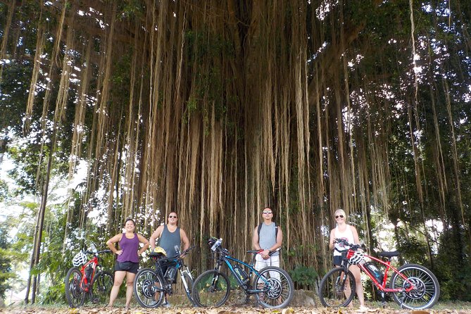 Half-Day Ubud Electric Cycling Tour to Tirta Empul Water Temple - Meeting and Pickup Details