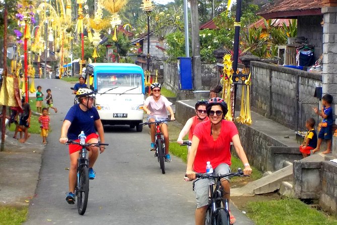 Half-Day Ubud Electric Cycling Tour to Tirta Empul Water Temple - Exploring Rice Terraces and Villages