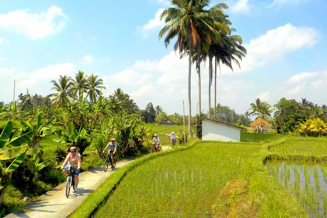 Half-Day Ubud Electric Cycling Tour to Tirta Empul Water Temple - Confirmation and Group Size