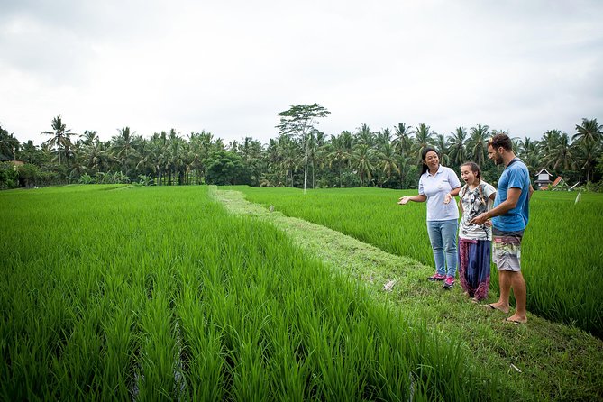 Half-Day Ubud Heritage Food Tour - Good To Know