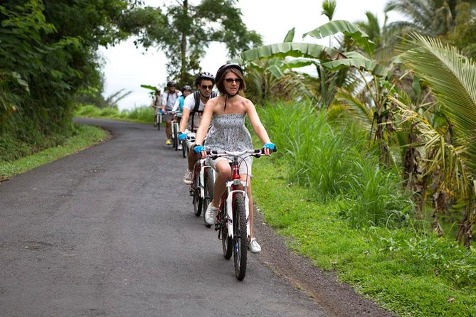 Half-Day Ubud Rice Field and Village Cycling Tour - Location and Reviews