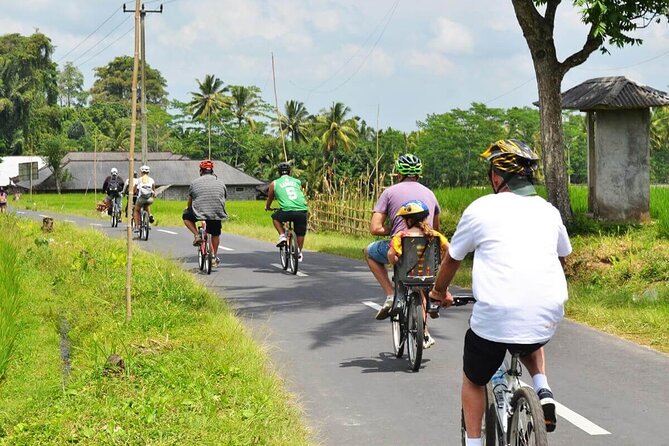 Half-Day Ubud Rice Field and Village Cycling Tour - Tour Duration and Activities