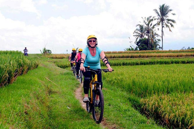 Half-Day Ubud Rice Field and Village Cycling Tour - Customer Feedback: Positive Experiences