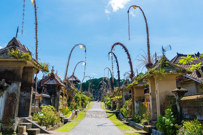 Half-Day Ubud Rice Field and Village Cycling Tour - Common Customer Compliments