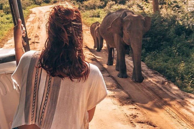 Half Day Udawalawe Safari From Kalutara (Entrance + Lunch) - Good To Know