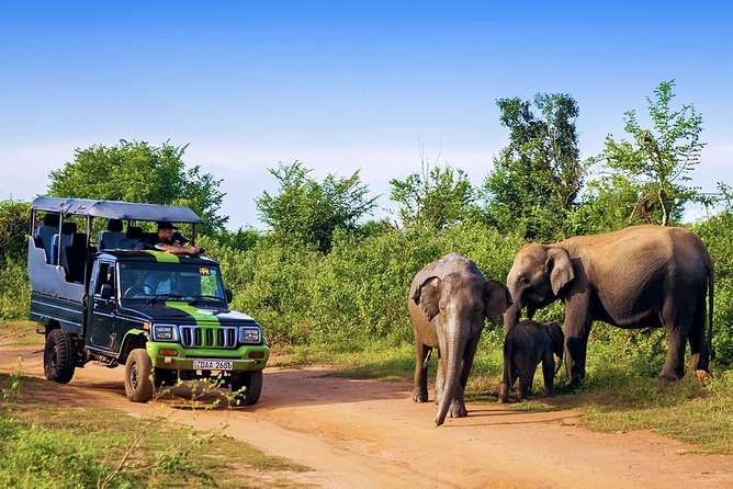 Half Day Udawalawe Safari From Kalutara (Entrance + Lunch) - Safari Duration and Exploration