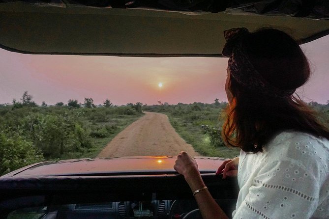 Half Day Udawalawe Safari From Kalutara (Entrance + Lunch) - Booking Agency Responsiveness