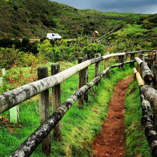 Half-Day Van Tour on the Center of the Terceira Island - Experience Highlights