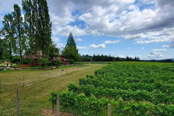 Half-Day Victoria to Cowichan Valley Wine Tour With Tastings - Enrico Winery Tasting and Lunch