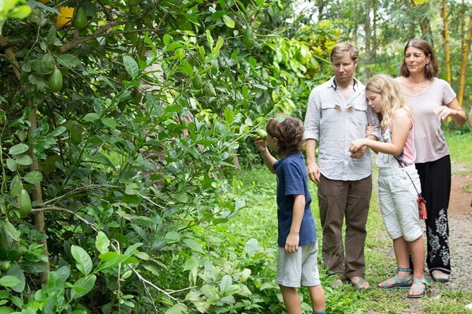 Half Day Village Backwater Eco Country Boat Cruise :Group Tour From Fort Cochin - Inclusions in the Tour